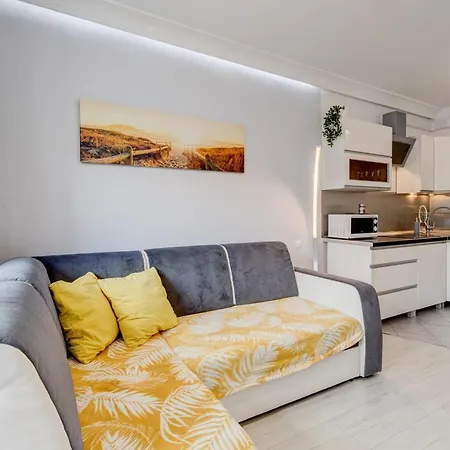 Silver 6 Apartment